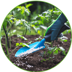 Fertilizers