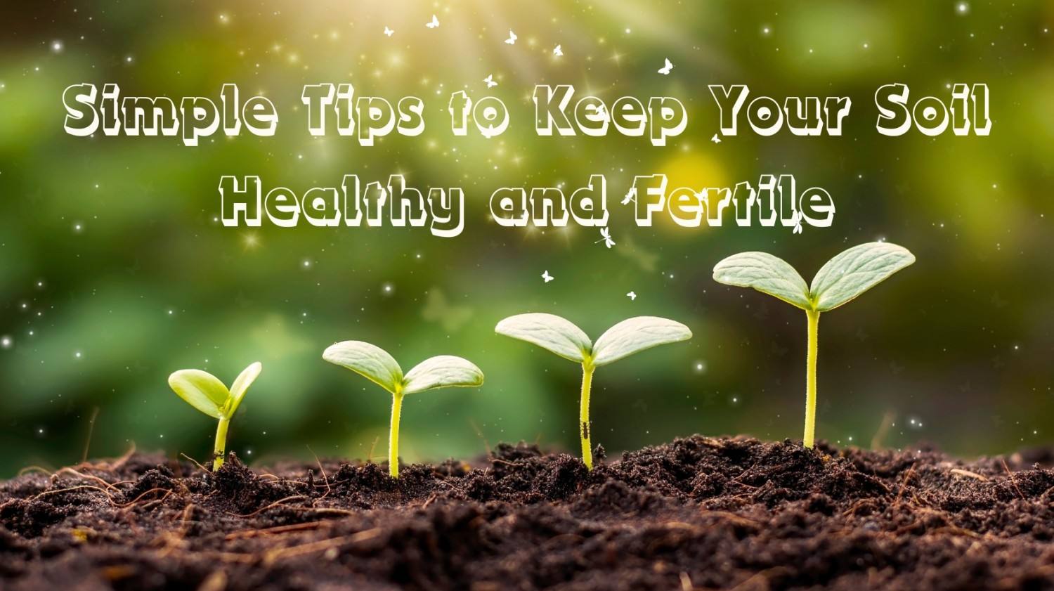 Easy Tips to Maintain Your Soil Healthy and Fertile