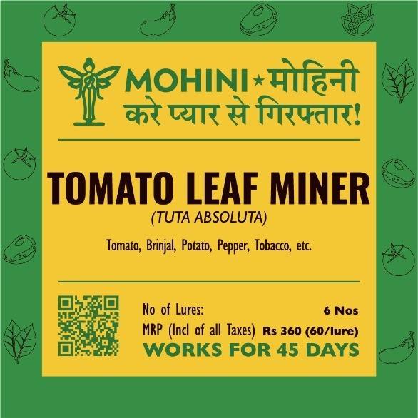 Mohini – Tomato leafminer | (Tuta absoluta) | Pheromone Lure | Tomato Pest Control