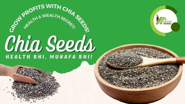 Earn Big with Chia Seeds: Best Prices and High-Quality Seeds in India