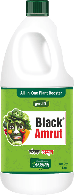 Black Amrut