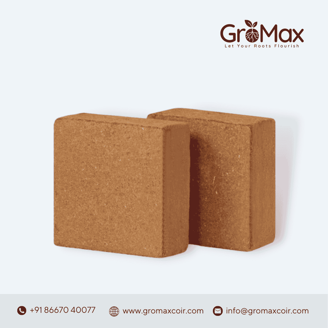 Coco Peat Block | Gromax Cocopeat Block Best Price