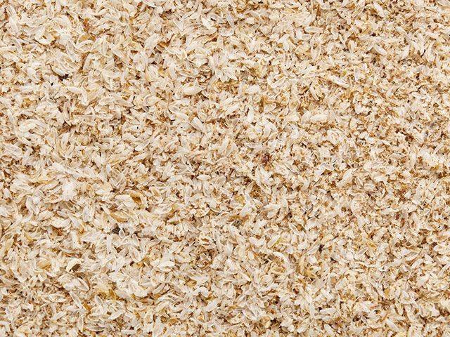 Psyllium Husk and Powder Manufacturer, Suppliers, Exporters