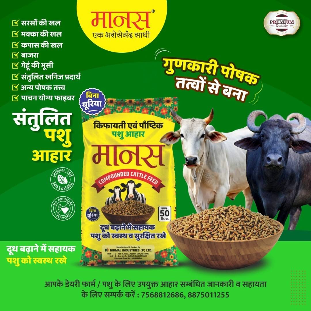 Manas Compounded Cattle Feed Online | Urea-Free Premium Feed