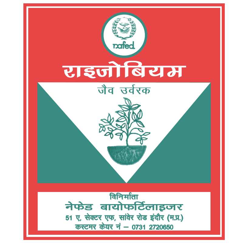 Rhizobium