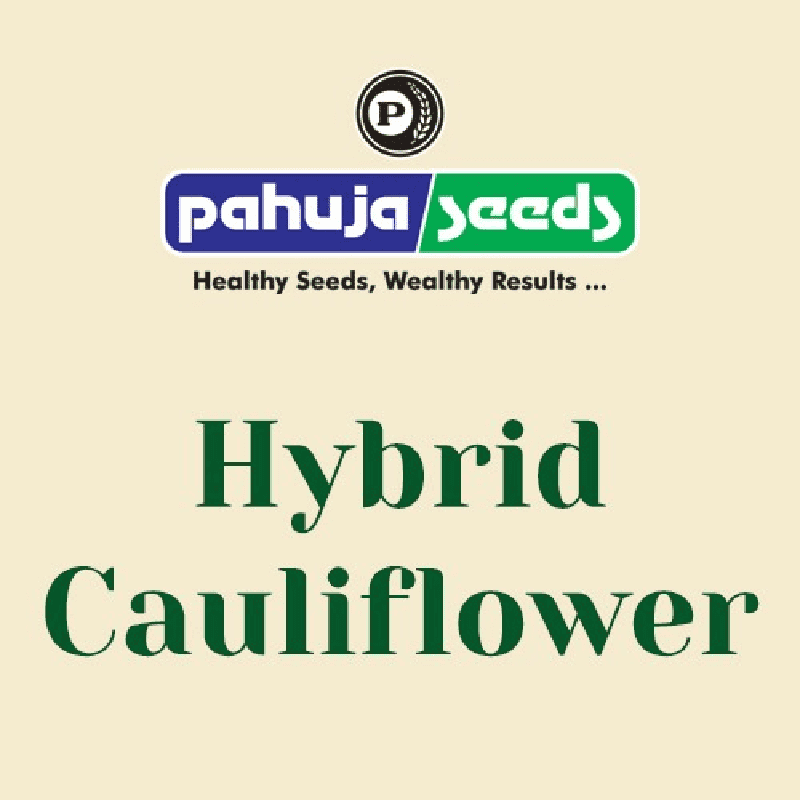Cauliflower Seeds | Varieties