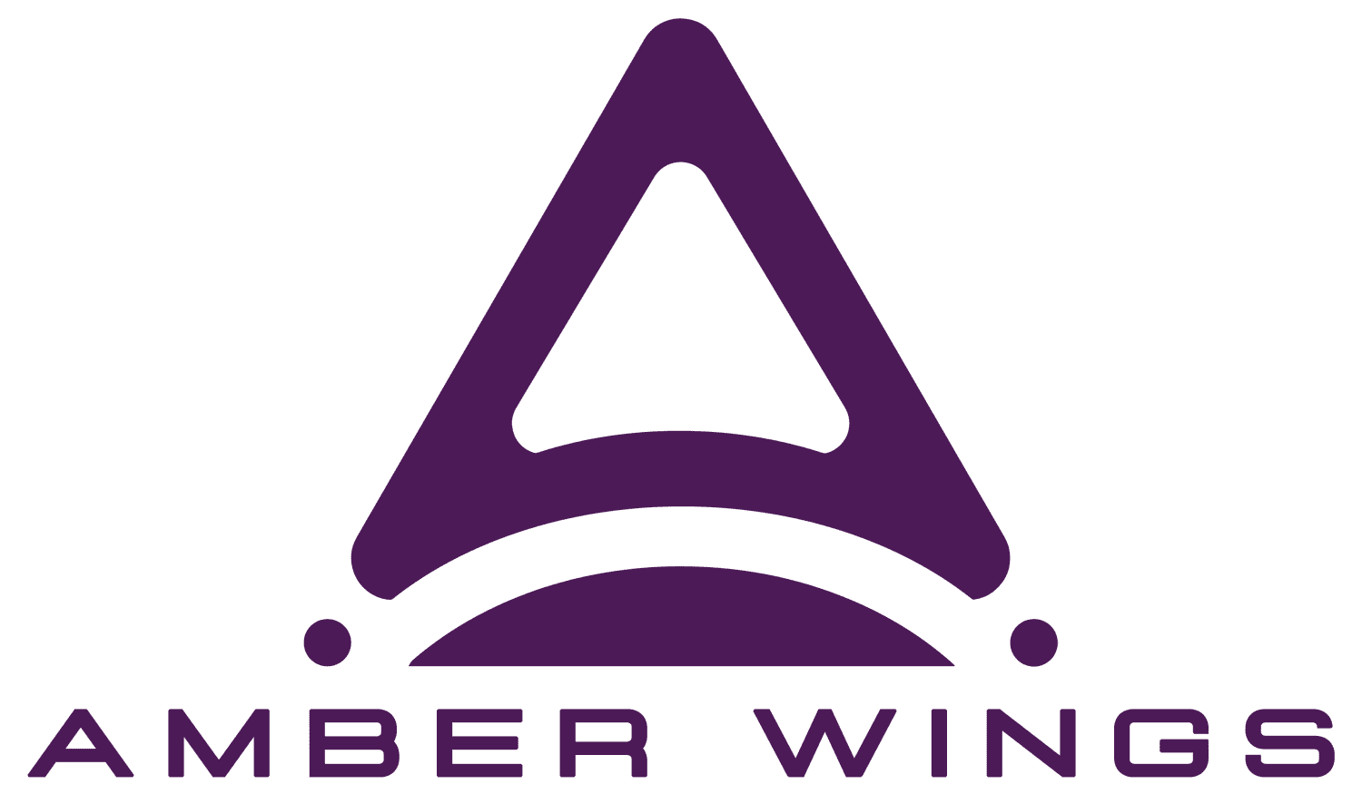 Amber Wings Private Limited
