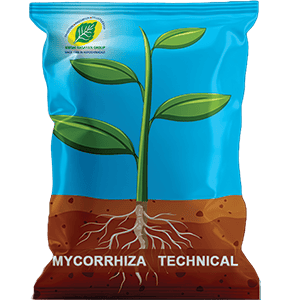 MYCORRHIZA | Krishi rasayan | Natural Soil Enhancer for Plant Growth | Vesicular Arbuscular Mycorrhiza (VAM)