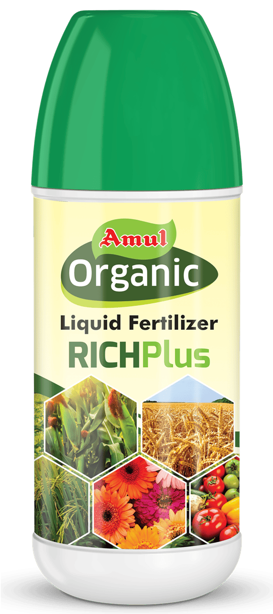 Amul Richplus