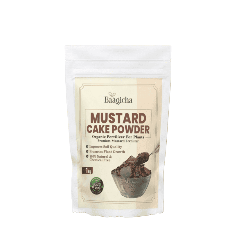 Mustard Cake Powder