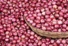 Top Onion wholesale supplier in India | Sai Krishna Impacts - Mandsour