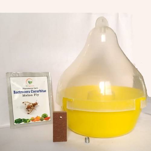 Melon fly phermone trap & Disposable glass trap pack of 25