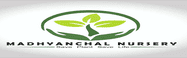 Madhyanchal Nursery