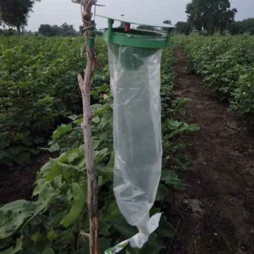 Funnel pheromone Trap