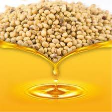 Organic Crude Soybean Oil
