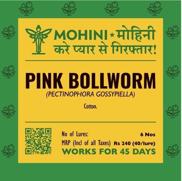 Mohini – Pink Bollworm | ( Pectinophora gossypiella ) | Integrated Pest Management