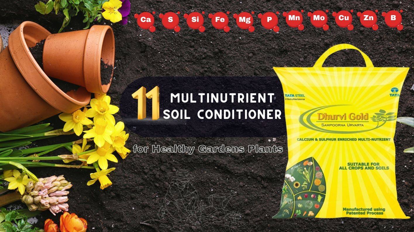 Introducing New Multinutrient Soil Conditioner for Healthy Garden Plants