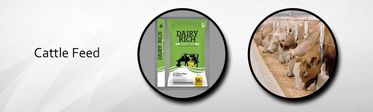 Dairy Rich Cattle Feed