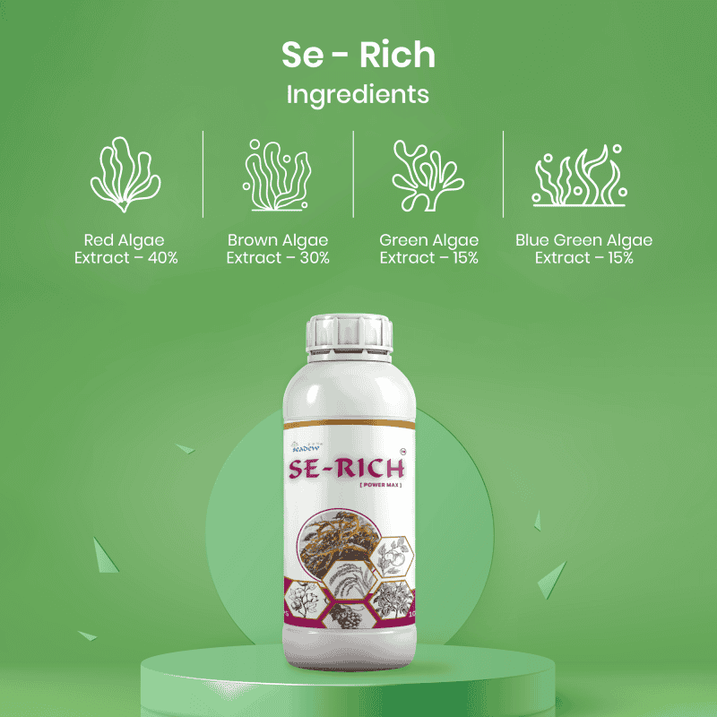 Se-Rich