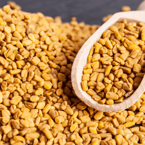 Methi | Fenugreek Seeds Supplier & Exporter - Sai Krishna Impacts