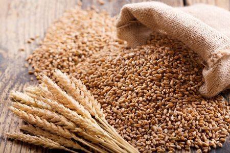 Top Wheat Wholesale Suppliers, Manufacturers & Distributors in Mandsour | Sai Krishna Impacts