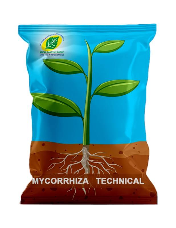MYCORRHIZA | Krishi rasayan | Natural Soil Enhancer for Plant Growth | Vesicular Arbuscular Mycorrhiza (VAM)