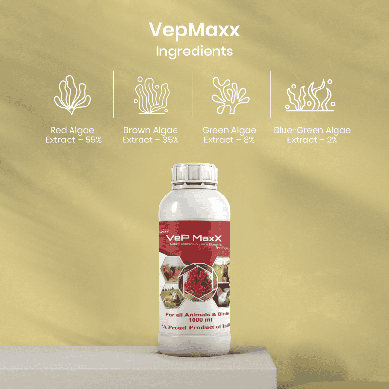 Vepmaxx