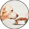 Organic Pet Products