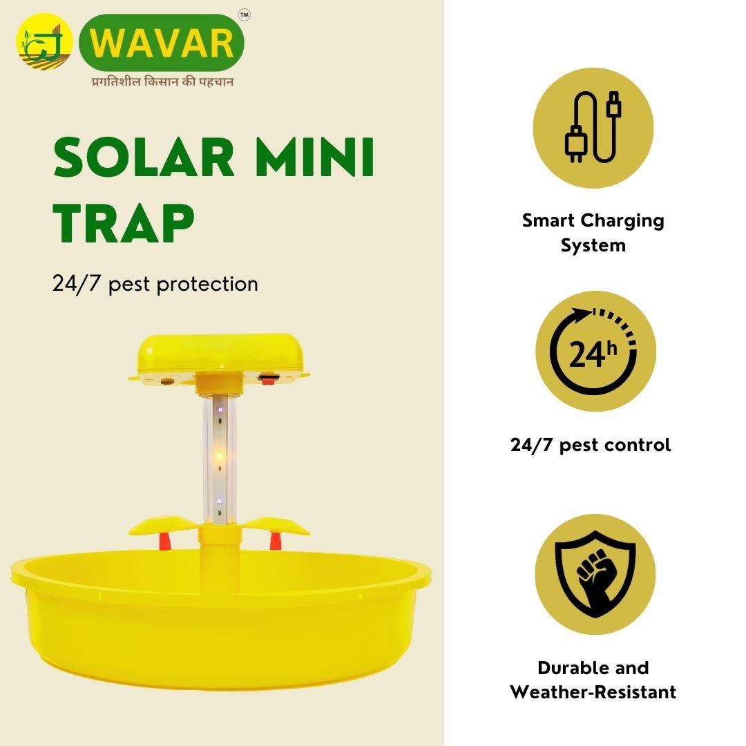 Wavar Jadugar Solar insect light