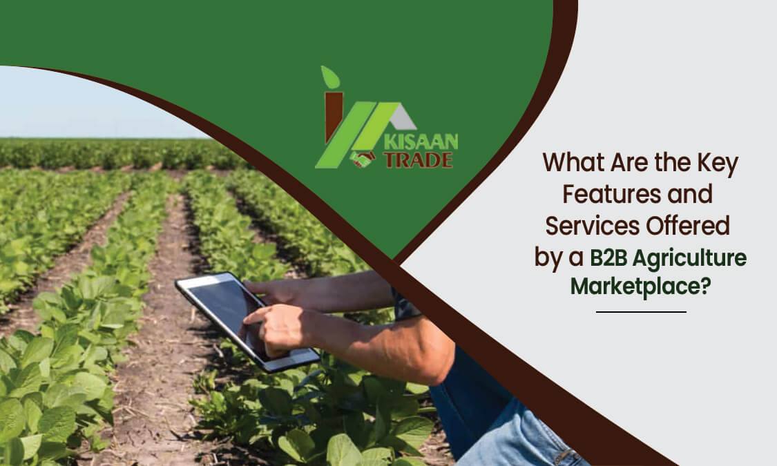 What Are the Key Features and Services Offered by a B2B Agriculture Marketplace?