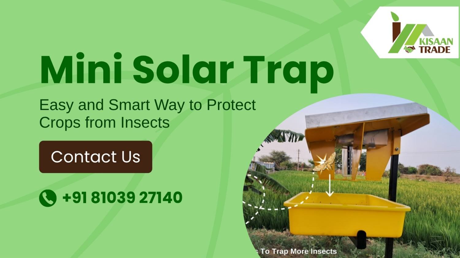 Mini Solar Trap: Smart Way to Protect Crops from Insects