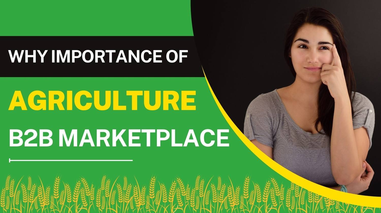 Importance Of Agriculture B2B Marketplace for small-scale agri-Inputs
