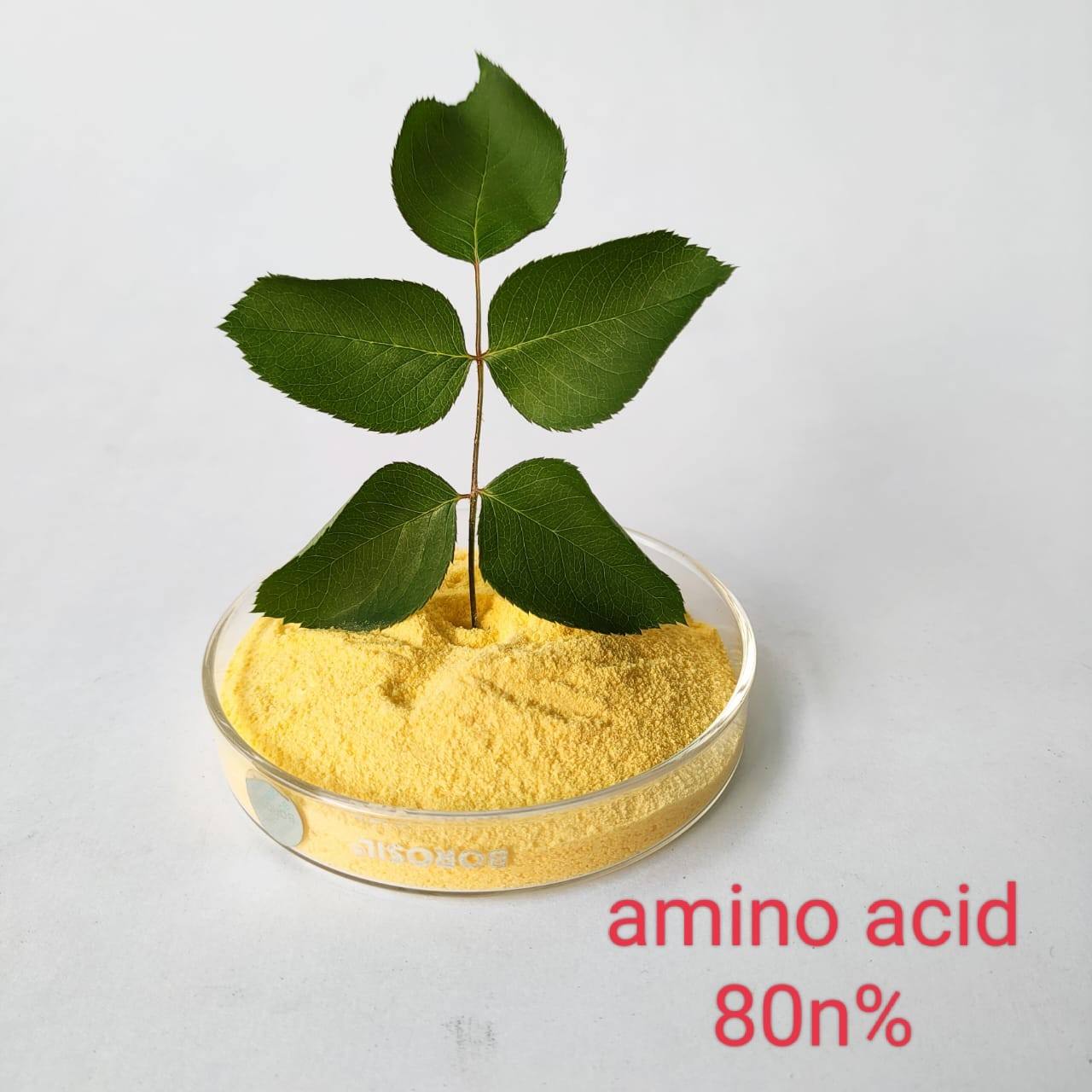 Amino acid 80%
