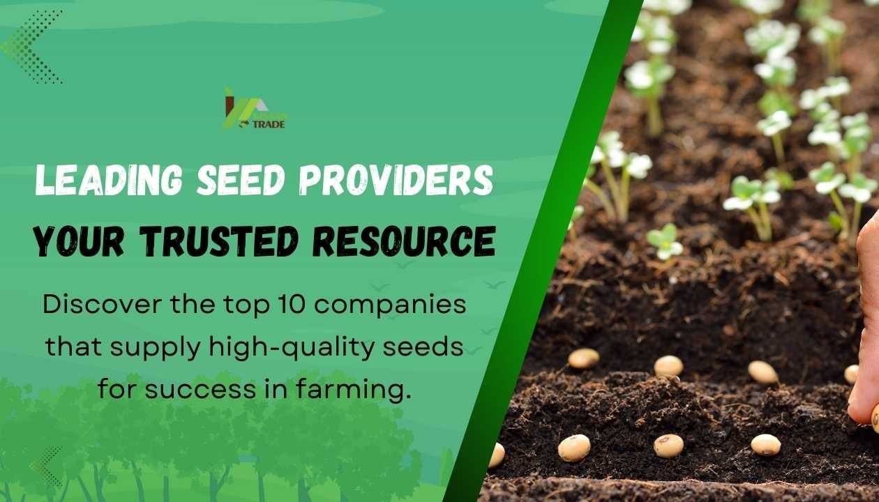 Top Seeds for 2024 – Get Great Harvests with These Varieties