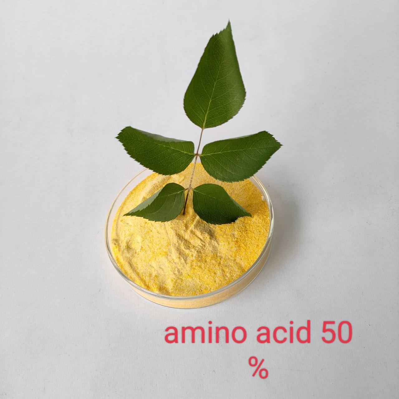 Amino Acid 50%