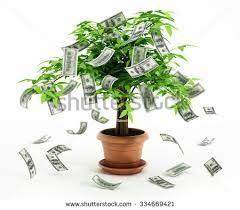 AGRICULTURE BUSINESS DEVELOPMENT LOANS SERVICES AVAILABLE