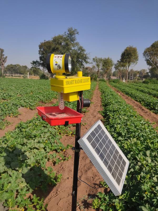 SMART RADAR LIGHT WITH INSECT TRAP AND 360 DEGREE ROTATING LIGHT