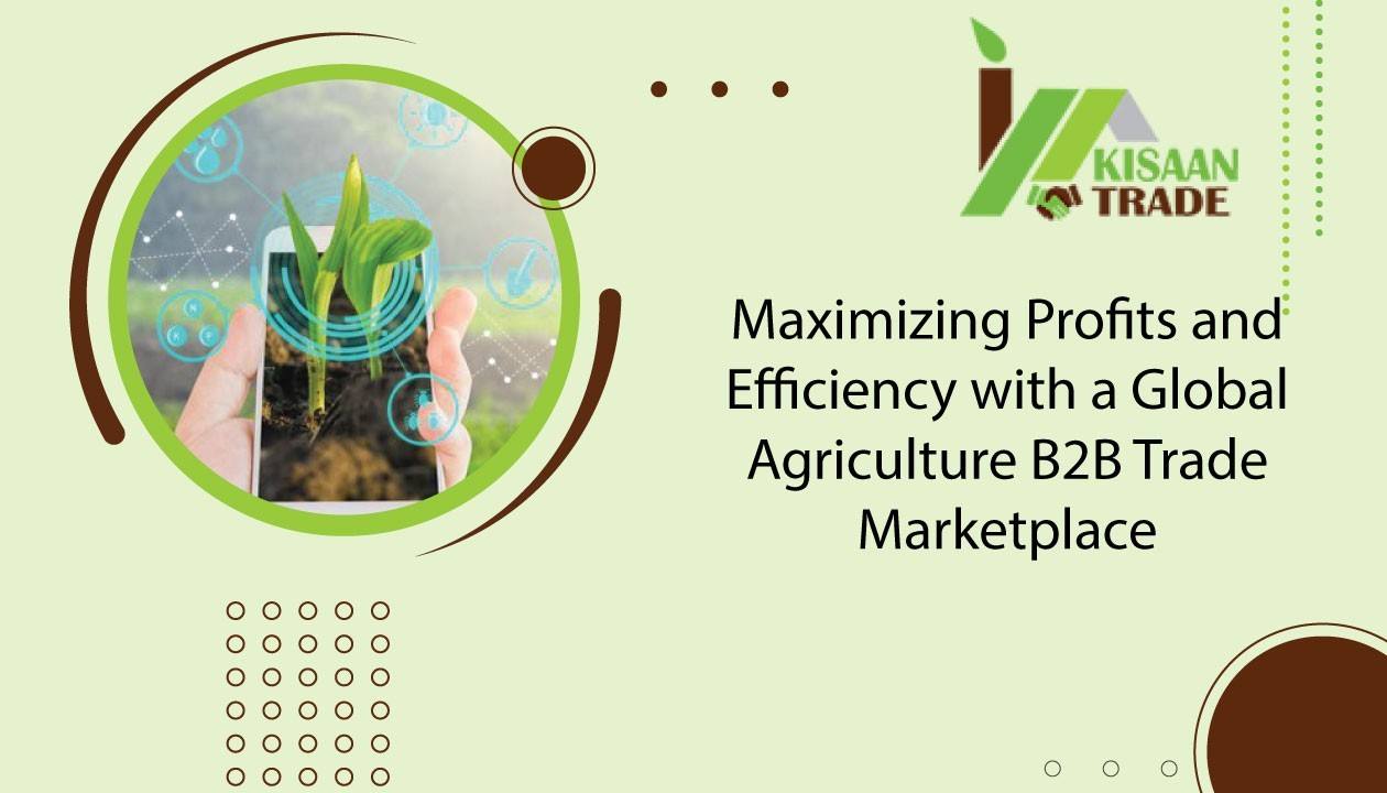 Maximising Profits and Efficiency with a Global Agriculture B2B Trade Marketplace