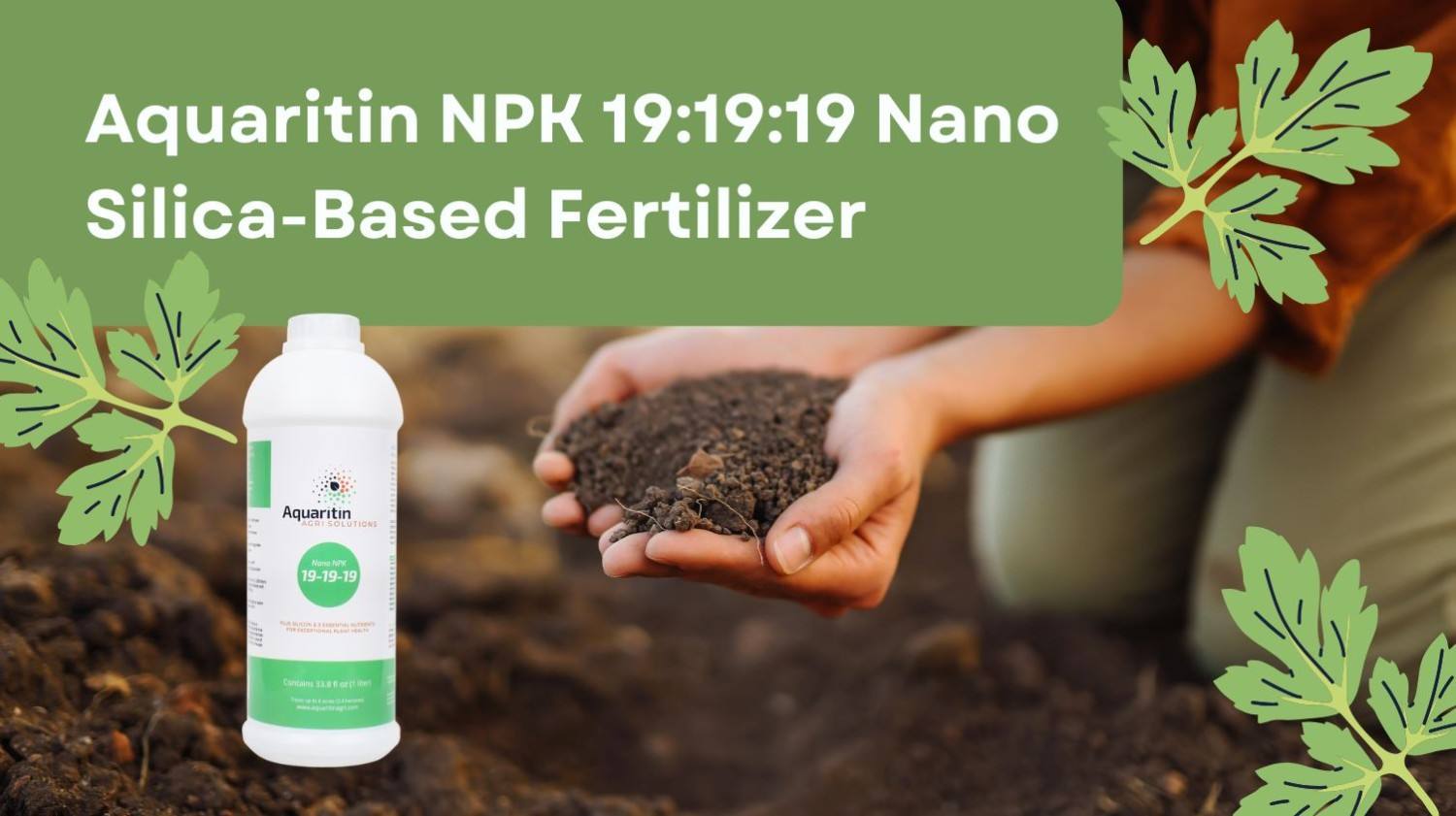 Aquaritin NPK 19:19:19 Nano Silica-Based Fertilizer: Innovation in Modern Agriculture