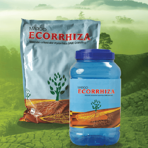 Vesicular Arbuscular Mycorrhiza (VAM) Ecorrhiza®