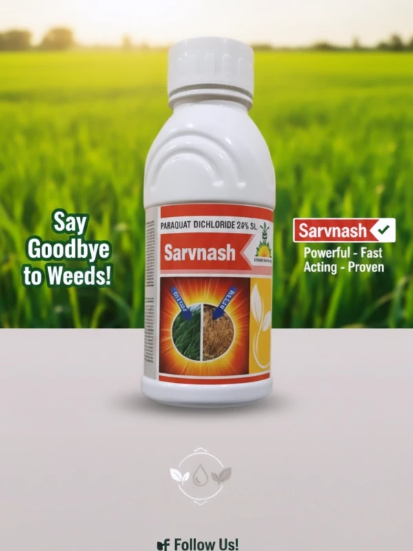 SARVANASH