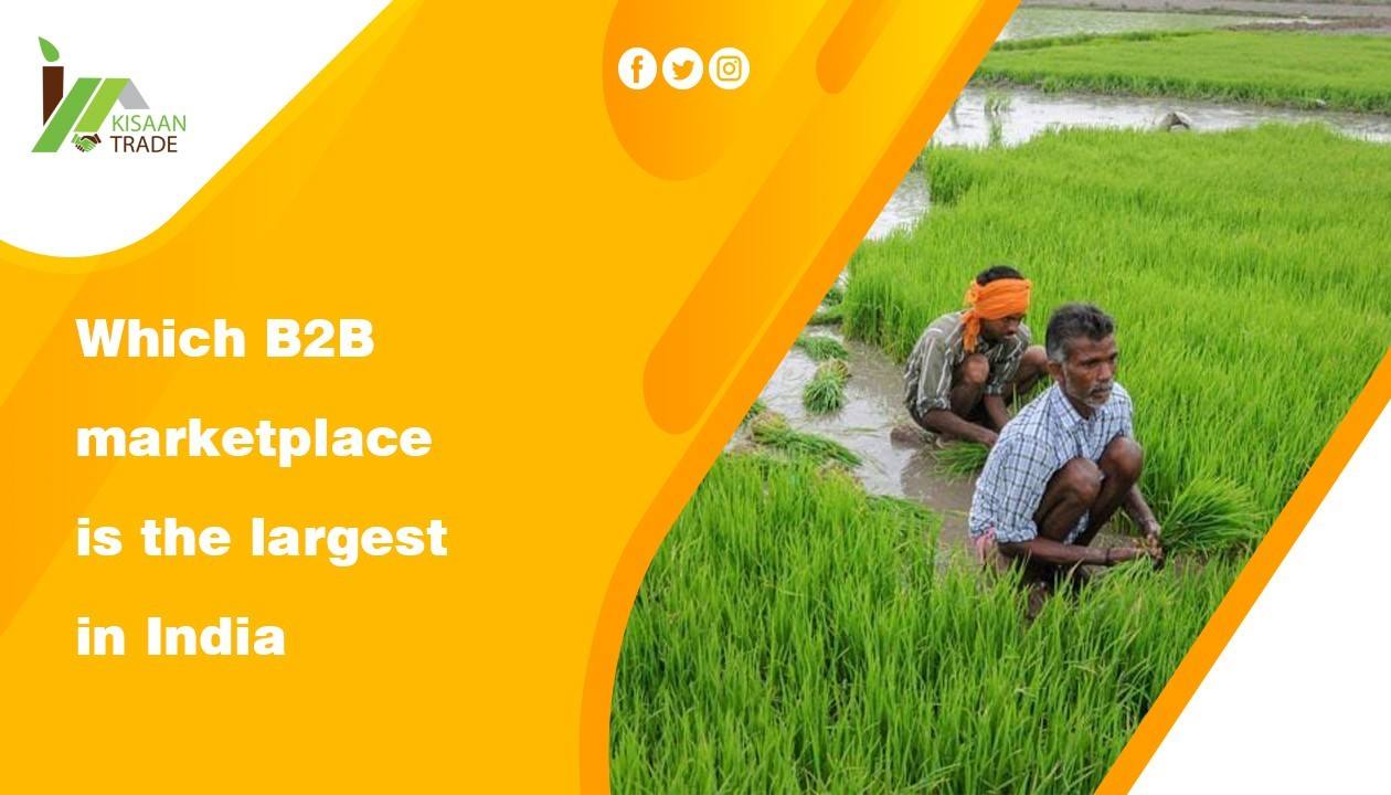 Which B2B marketplace is the largest in India?