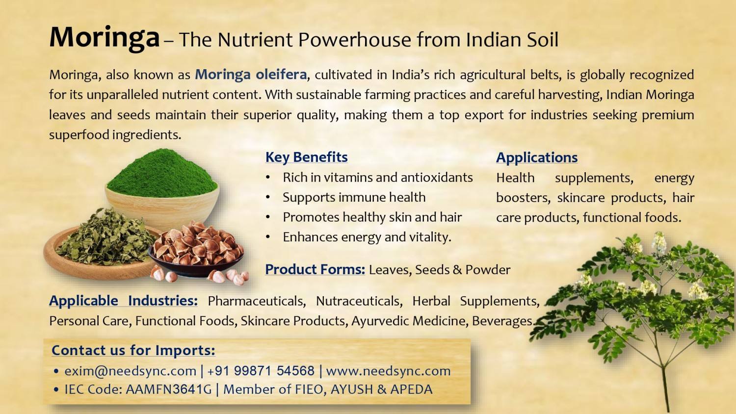 Moringa Powde & Leaves
