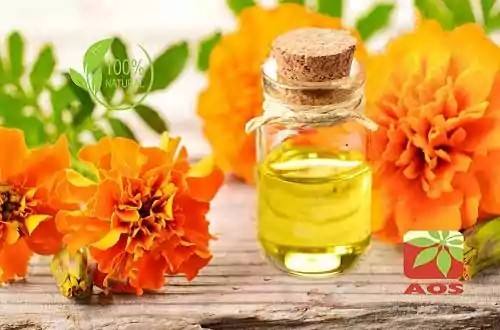 Tuberose Absolute | Tuberose Oil