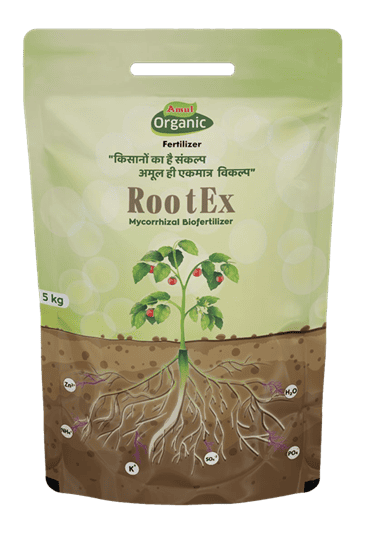 Amul RootEx
