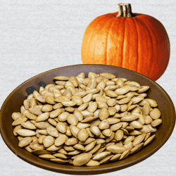 Vegetable Seeds