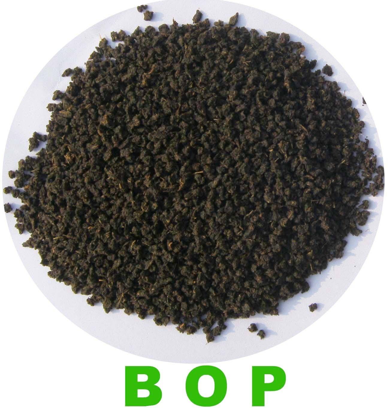Assam Black Tea
