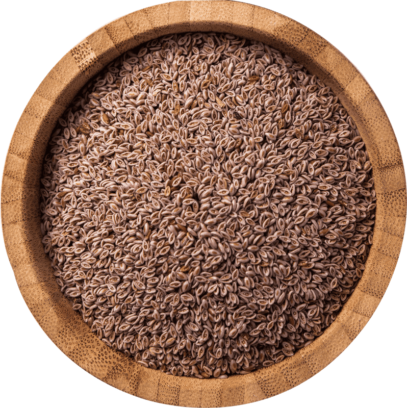 Farmvale Psyllium Seeds