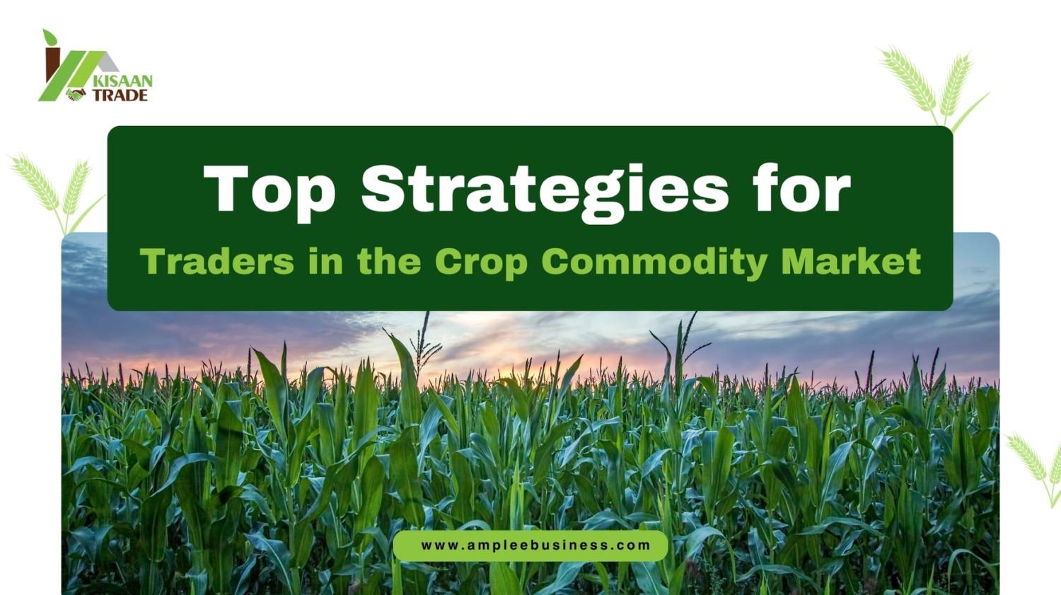 Top Strategies for Traders in the Crop Commodity Market