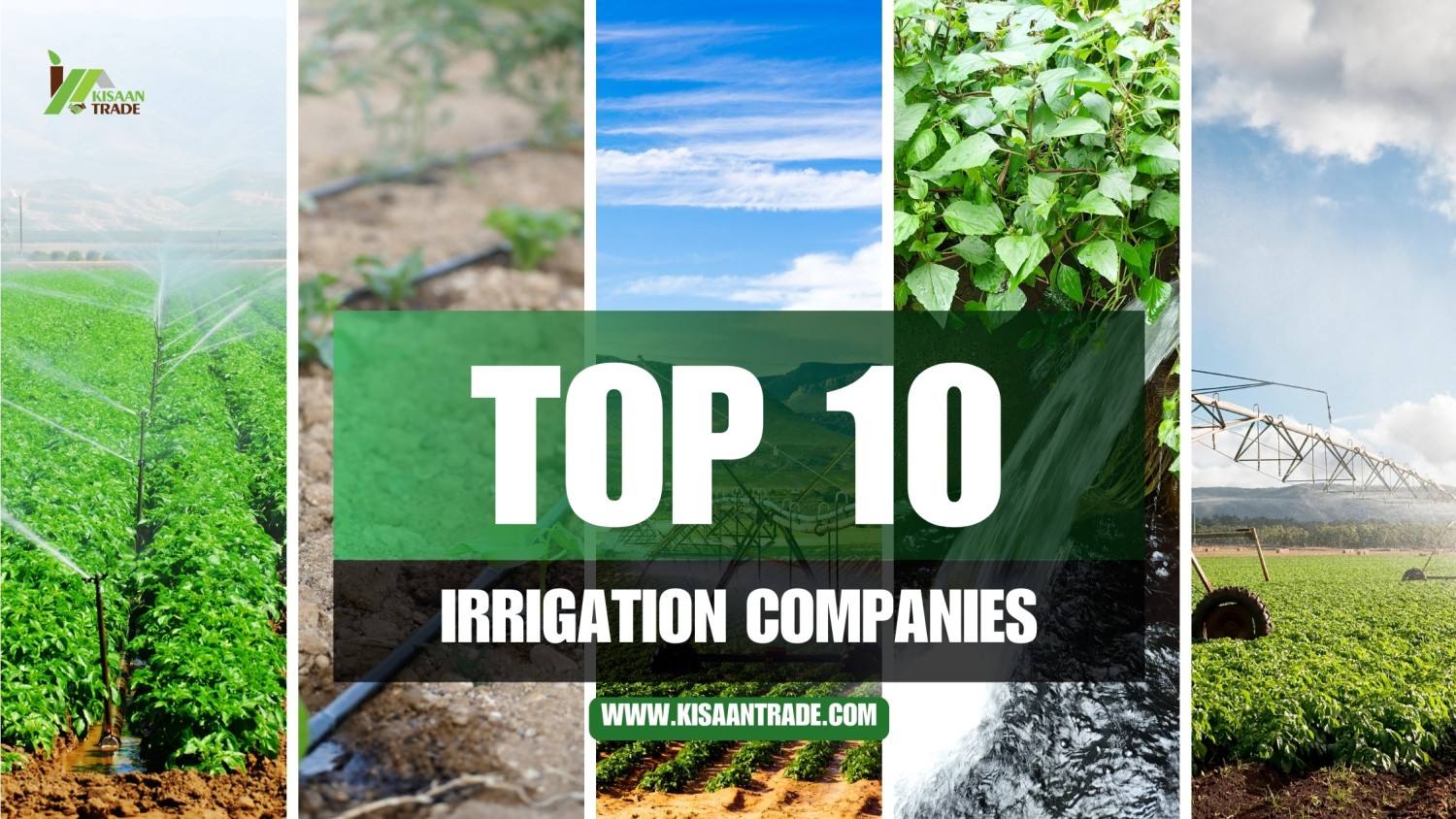 Top 10 Irrigation Products Companies in India for Smart Farming